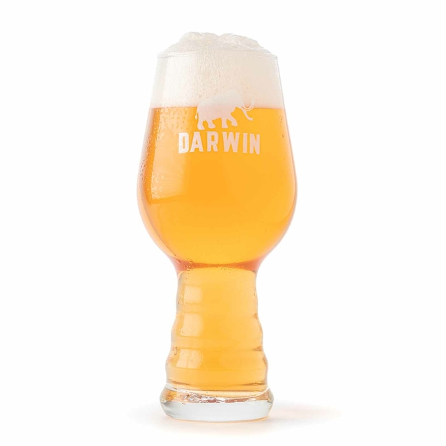 Vaso IPA DARWIN - Comprar en Darwin Cerveza Artesanal