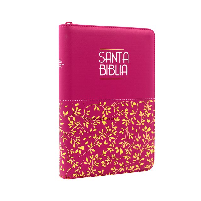 Biblia Cristiana Reina Valera 1960 Letra Grande - Fucsia