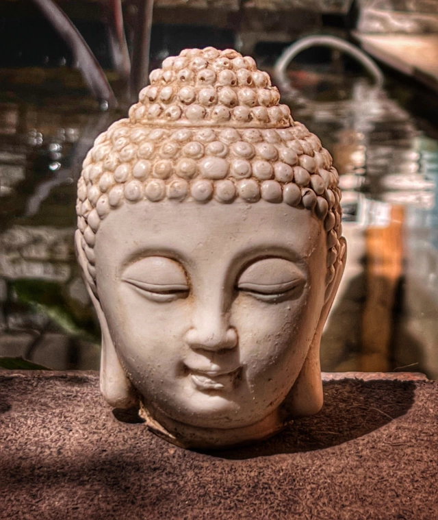 Disipación Ridículo Clavijas Figura Buda cabeza sabiduria 15cm resina exterior
