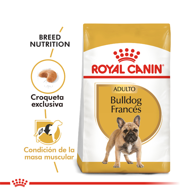 Alimento para Bulldog Frances Adulto Royal Canin