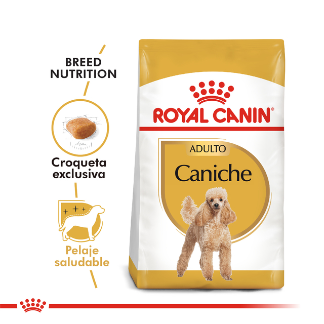 Alimento para Perro Caniche Adulto Royal Canin