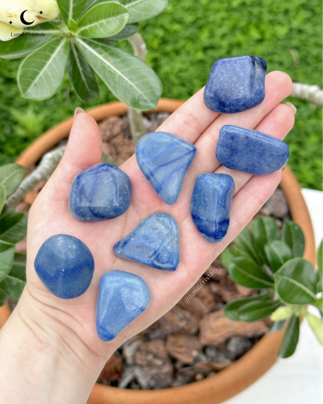 Pedras da evolução (stones): O que são? Como conseguir