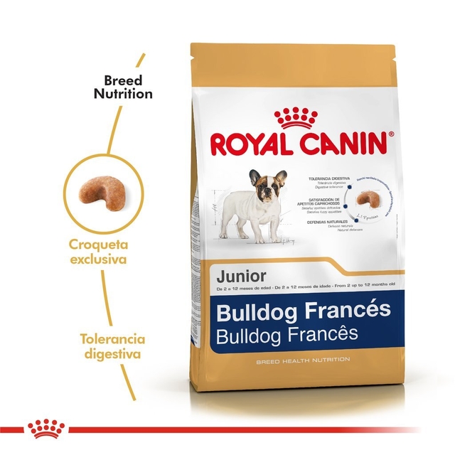 Royal Canin Bulldog Frances Junior - PRONTOPET
