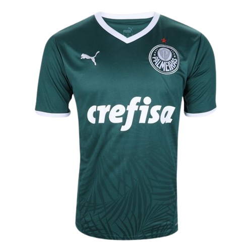 Camisa do Palmeiras Verde 2022 - Puma Torcedor Masculina