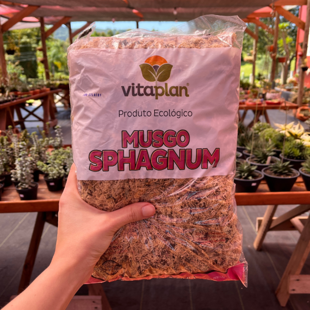 Estrictamente Combatiente Legado Musgo Sphagnum 100g - Comprar em Fazenda das Suculentas