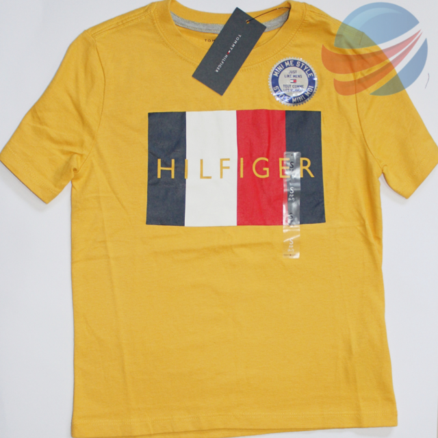 Camiseta Tommy Hilfiger - Comprar em Shop USA Prime