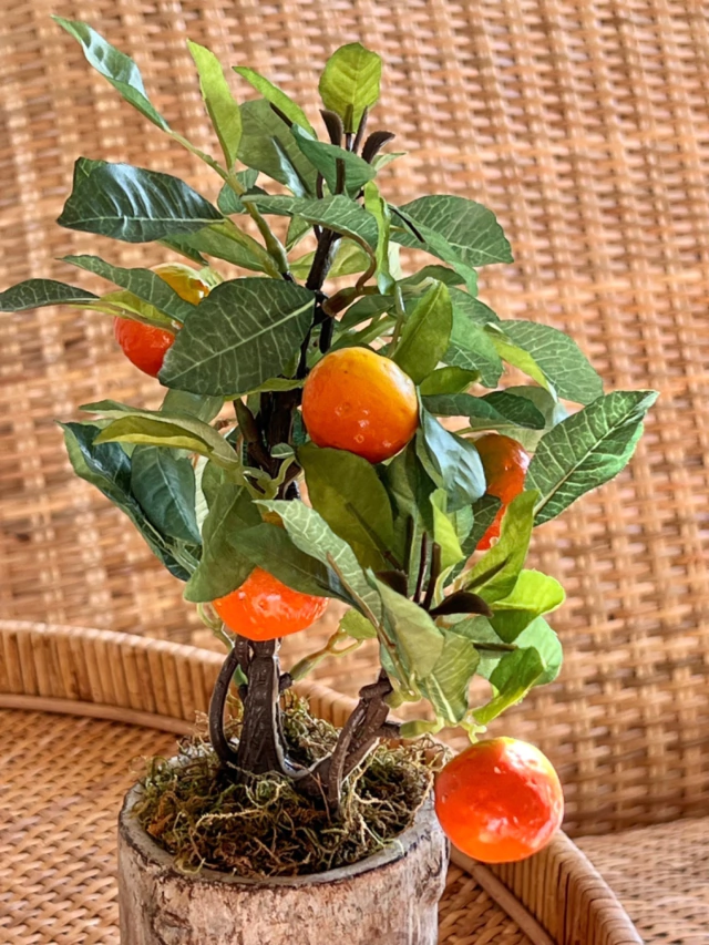 Bonsai Frutas - Comprar en Cielo y Tierra