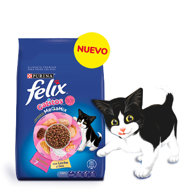 Felix Alimento Seco Megamix Gatitos - Animaladas Ya!
