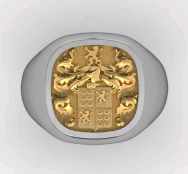 Anel Brasão de Família Medieval em Prata com Ouro 18k