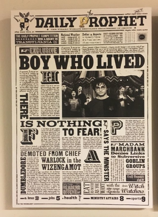 Cuadro Harry Potter Diario - Boy Who lived
