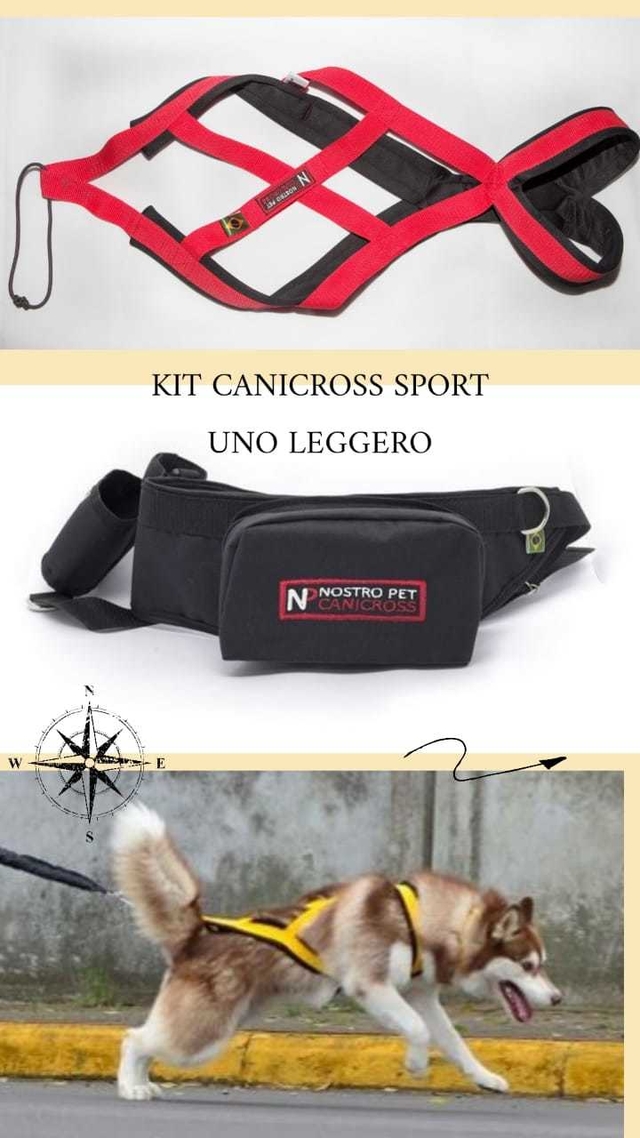 Kit para a prática de Canicross
