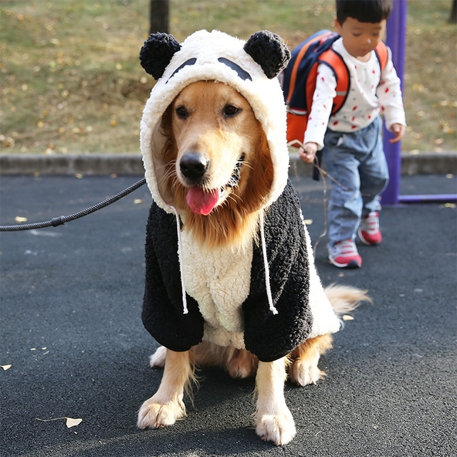Blusa de Frio Urso Panda para Grande Porte
