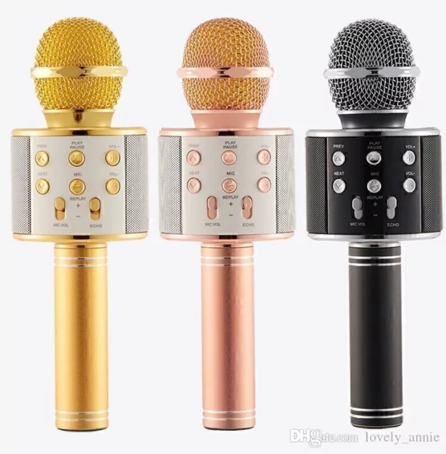 Lo siento Perdóneme Extensamente Microfono Karaoke Con Parlante WS-858 - Full Technology
