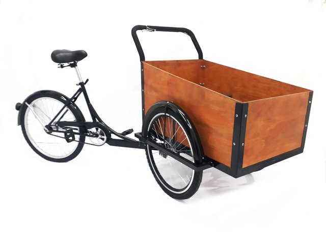 Triciclo Carga Delantera Transporte de Niños Triciclo Carga Delantera Transporte de Niños