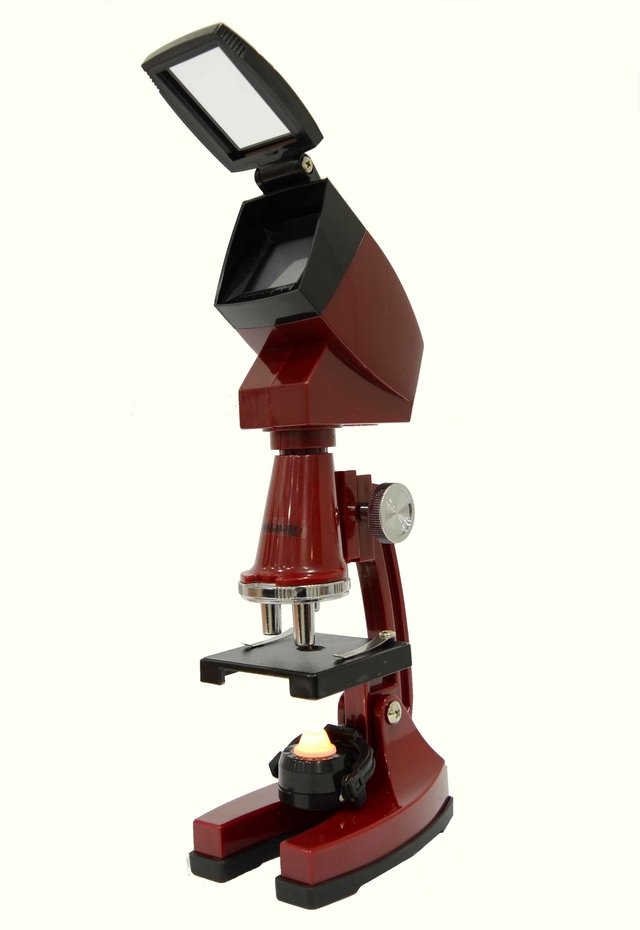 Microscopio Galileo Tmp 900 Con Proyector Y Luz