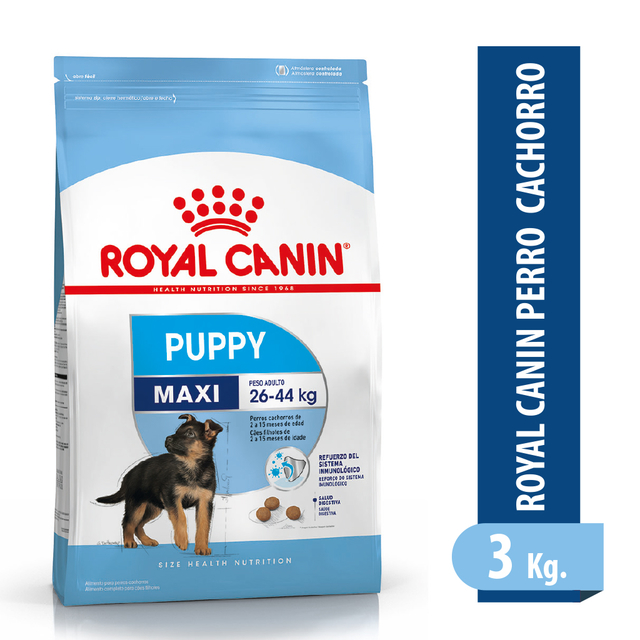 Royal Canin Maxi Junior Cachorros de razas grandes