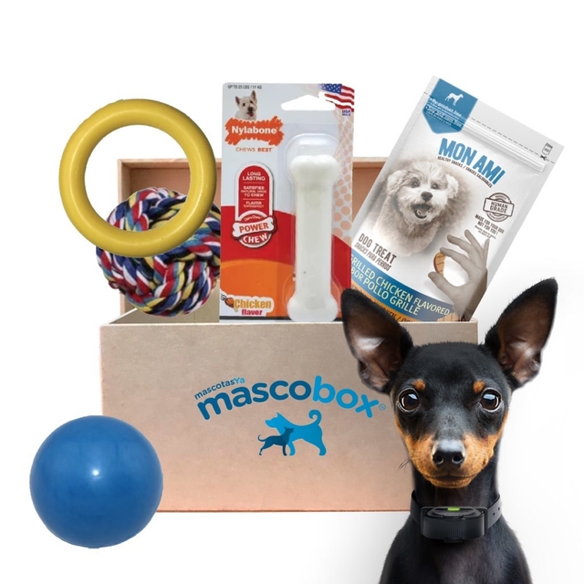 Mascobox Kit Mordelon Juguetes Hueso Perros Adulto Pequenos Y Medianos