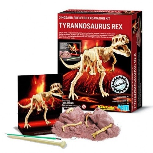 Kit Escavação de Esqueleto Tiranossauro Rex Brinquedo Educativo Experimento  Científico Brinquedos Educativos Bambalalão Brinquedos Educativos
