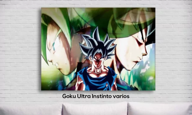 Cuadro Goku Ultra Instinto varios