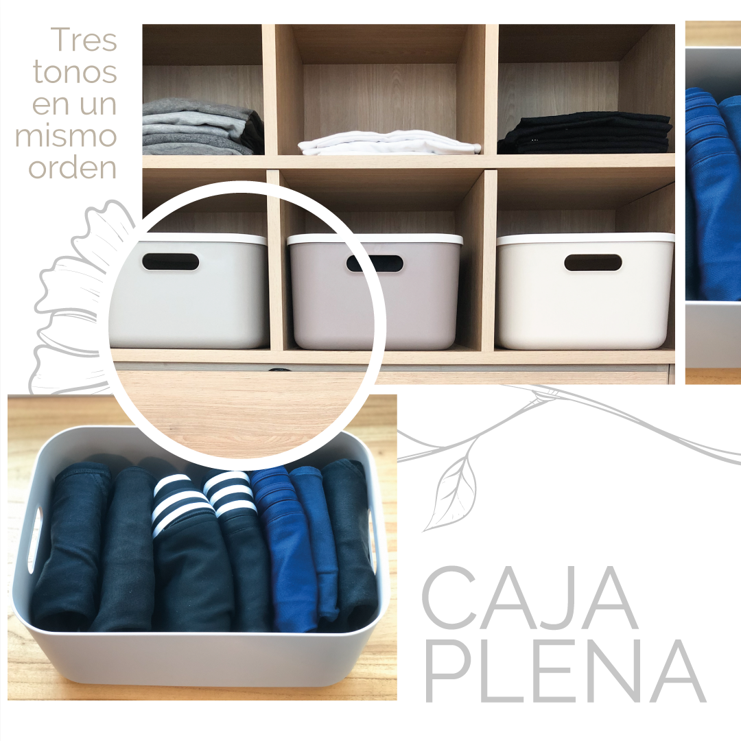 Mertian Digital - Últimos trabajos