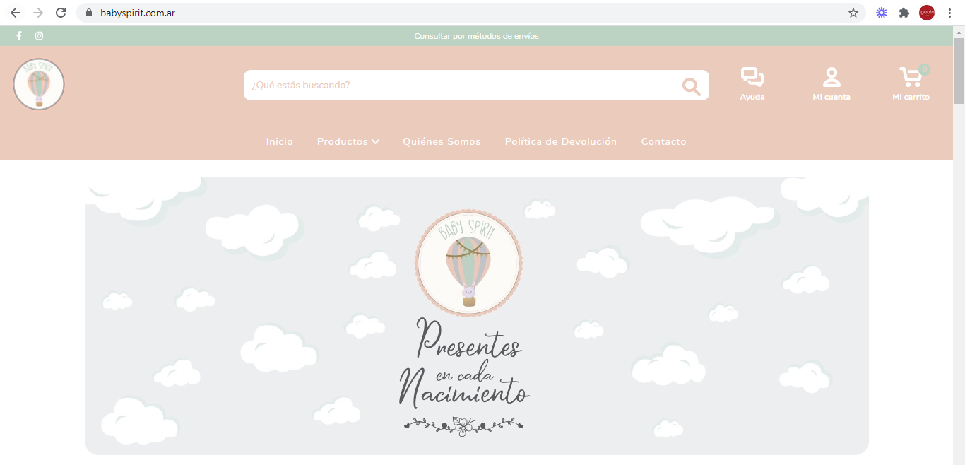 Project screenshot