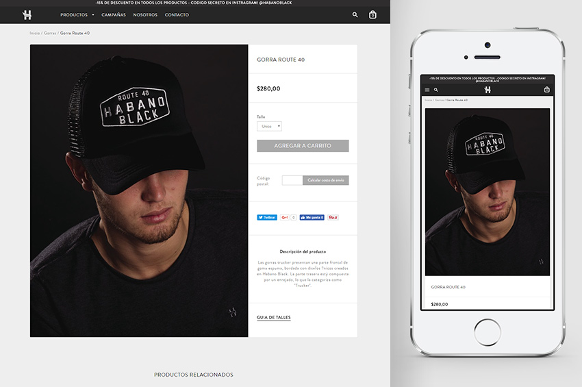 Project screenshot