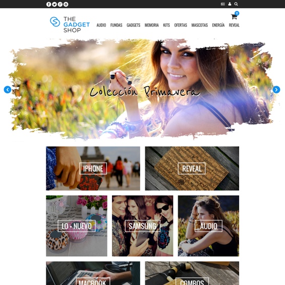 Project screenshot