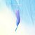 GOT7 - PRESENT: YOU