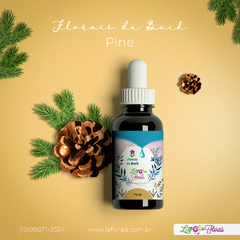 Floral de Bach - Pine 30 ml na internet