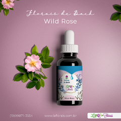 Floral de Bach - Wild Rose 30 ml - comprar online