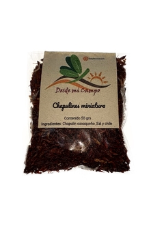 Chapulín Miniatura Enchilado - buy online