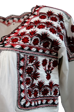 Blusa Tradicional Tlahuiltoltepec (Talla M, Manga Larga) - comprar en línea