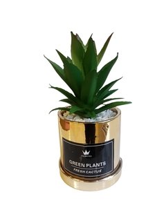 Planta Artificial En Maceta Cerámica Dorada y Plateada Cactus Suculenta - Chill Moda