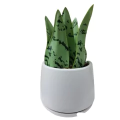 Planta Artificial En Maceta Ceramica Blanca Cactus Suculenta en internet