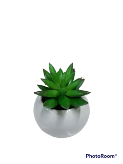 Pack X6 Plantas Artificial en Maceta Ceramica Brillante Cactus Suculenta Colores