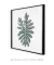 Imagem do Quadro Decorativo Monstera Minimalista Quadrado