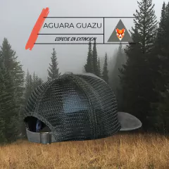 PHAROS | AGUARÁ GUAZÚ | VERDE - Pharos