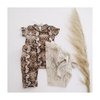 Conjunto Reptil en internet