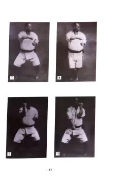 Imagen de El maestro Chooki Motobu y el karate de Okinawa - Kohaku Iwai
