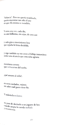 Vigilámbulo. Poesía reunida - Arturo Carrera - 3 tomos en internet