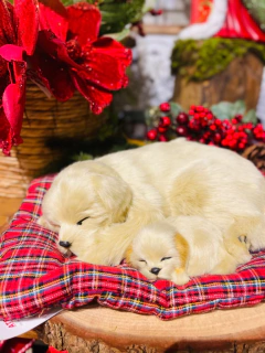 Natal pet Mamãe e filhote na almofada 30x24cm - loja online