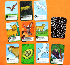 Imagen de Los Teros - Descartes Cartas Salvajes