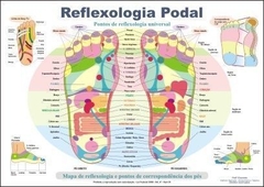 Mapa Reflexologia Podal - Enomóto