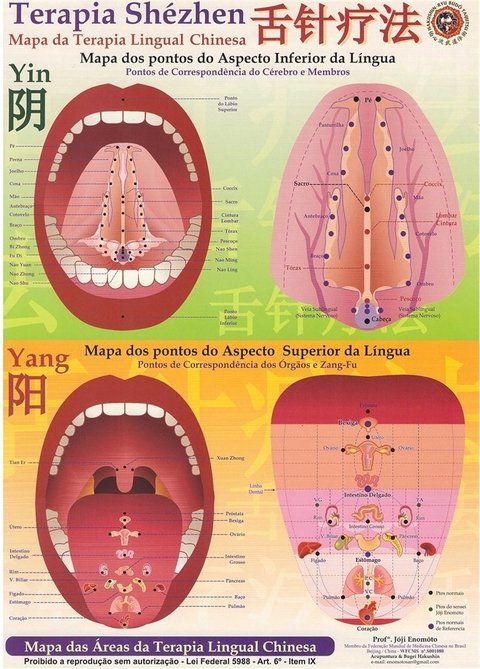 Mapa 5 Elementos (Pequeno) - NutriEvas - Especializada em Medicina  Tradicional Chinesa