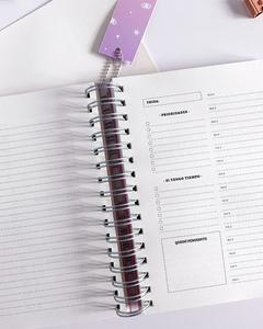 NUEVO! Planner Productivo - comprar online