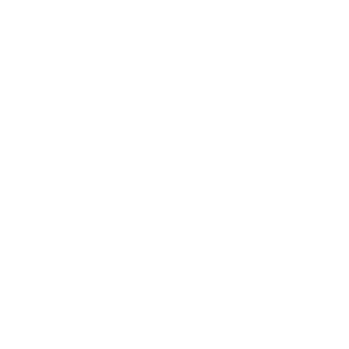 reversiva