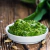 Pesto Premium