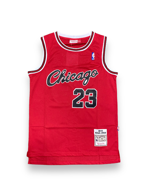 Camiseta NBA chicago Bulls L