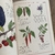Inventario Ilustrado de Frutas y Verduras - Club EnLápiz