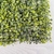 Placa Grama Verde 4x60x40cm Planta Artificial Permanente - loja online